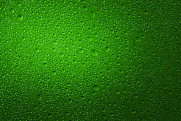 水滴グリーン - 写真・画像