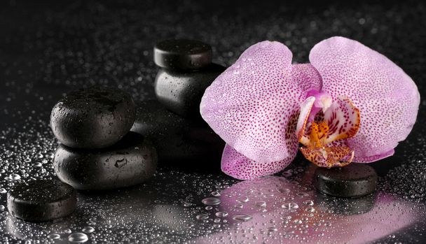 Spa stones and orchid flower, on wet grey background - Foto, immagini