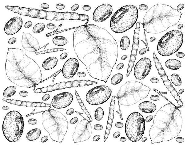 Dibujado a mano de fondo de plantas de guisante de ojos negros
 - Vector, Imagen
