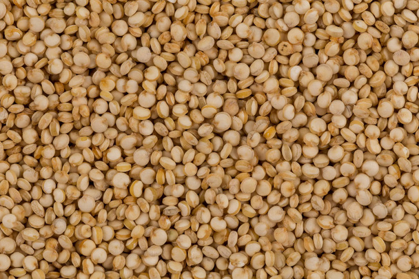 Quinoa seeds close up - 写真・画像