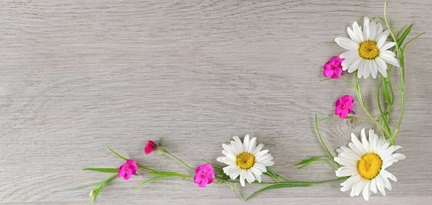 Flowers composition. Flat lay, top view - Foto, immagini