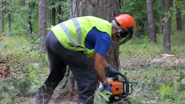 Homem serrar madeira usando motosserra
 - Filmagem, Vídeo