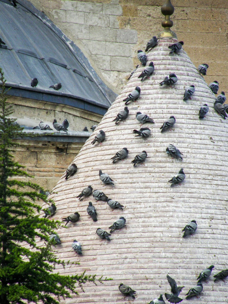 Türkiye 'deki cami binası - Fotoğraf, Görsel