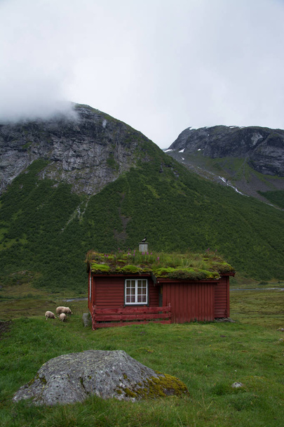 Landscape in Sogn og Fjordane, Norway - Fotoğraf, Görsel