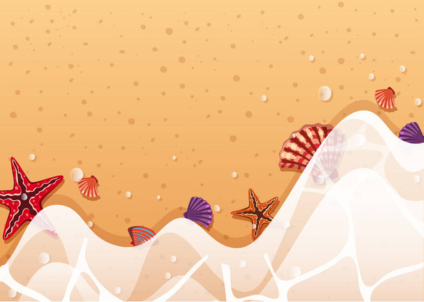 Background template with starfish and shells on shore - Vector, Image