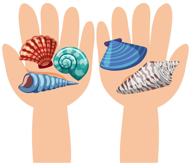 Conchas marinas en manos humanas
 - Vector, Imagen