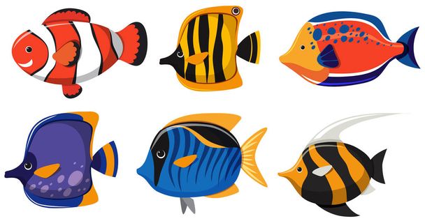 Six types of fish on white background - Vector, afbeelding