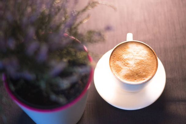 A cup of coffee near a plant in a pot with a blurred background. - Fotoğraf, Görsel