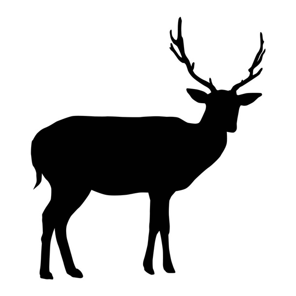 Hirsch mit Hörnern Silhouette isoliert auf weißem Hintergrund Vektor - Vektor, Bild