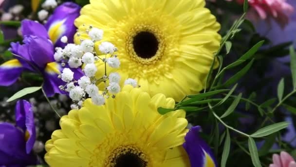 色とりどりのガーベラとアイリスの回転の美しい明るい花束. - 映像、動画