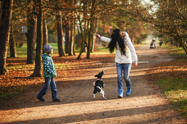 Mother and son walk their pet in the autumn Park. - Fotoğraf, Görsel