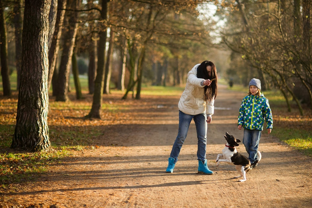 Mother and son walk their pet in the autumn Park. - Фото, изображение