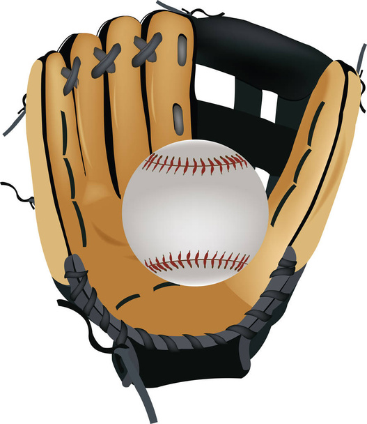 accessoires de baseball sport
 - Vecteur, image