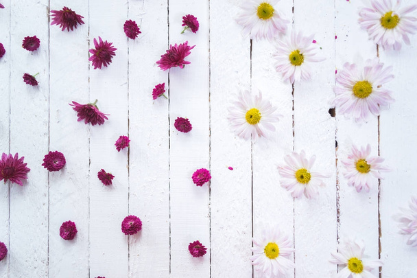 Multicolored flowers on a white wooden background. - Zdjęcie, obraz