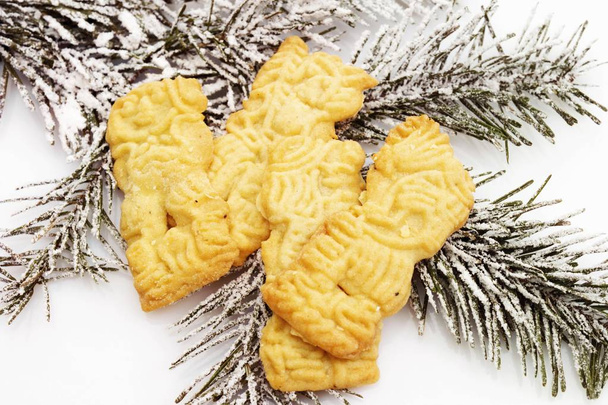 Speculaas cookies and a fir branch - Photo, image