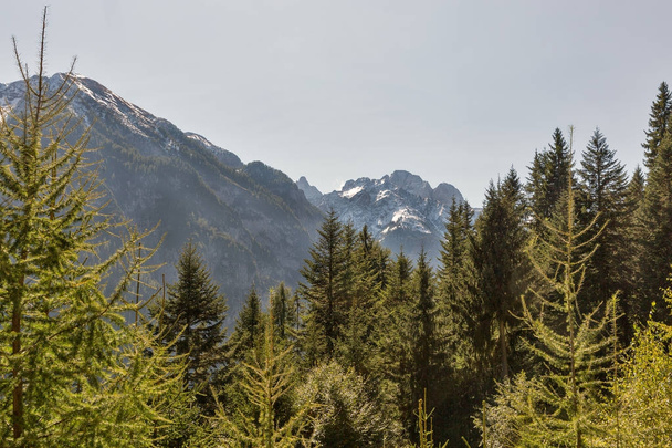 Alpesi táj Nyugat-Karintia, Ausztria. - Fotó, kép