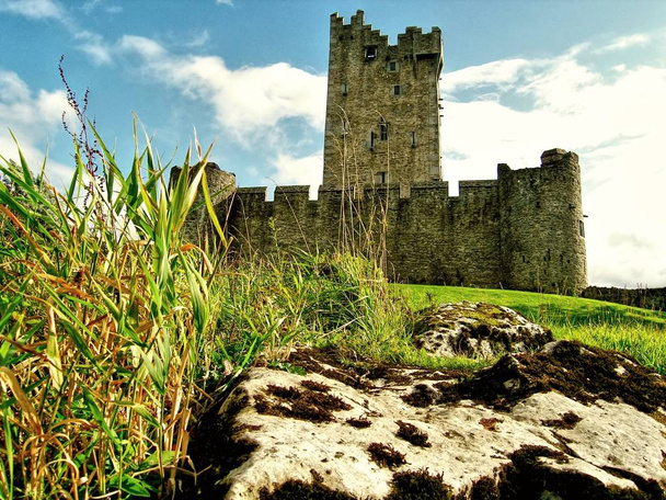 Ross Castle es una Tower House del siglo XV y Keep on the Edge of Lough Leane, en el Parque Nacional de Killarney, Condado de Kerry, Irlanda.
 - Foto, Imagen