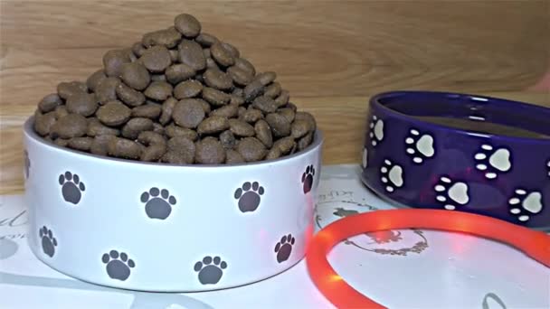 Nourriture sèche pour chien Bol en céramique blanche et bleue pour chiens - détails, gros plan, macro
 - Séquence, vidéo