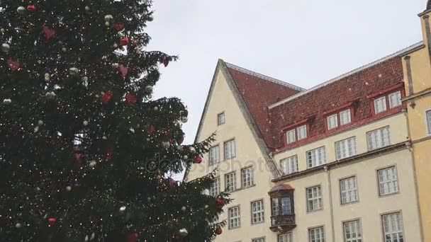 Albero di Natale in Piazza del Municipio a Tallinn. 2017
. - Filmati, video