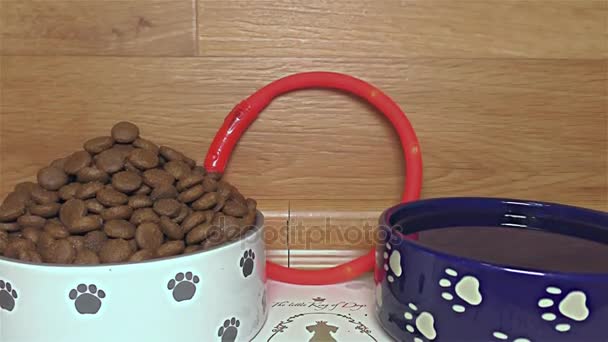 Kuiva koira Ruoka Valkoinen ja Sininen Keraaminen Koirat Bowl - yksityiskohta, lähikuva, makro
 - Materiaali, video