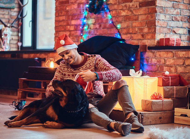 クリスマスの装飾の部屋に彼はロットワイラー犬を床に座っている男性の魅力的なひげを生やしたヒップスター. - 写真・画像
