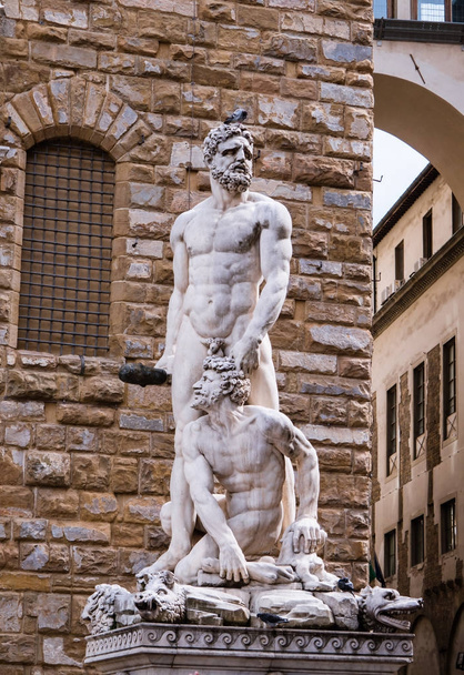 Statue of Hercules and Caco in Florence, Italy - Фото, изображение