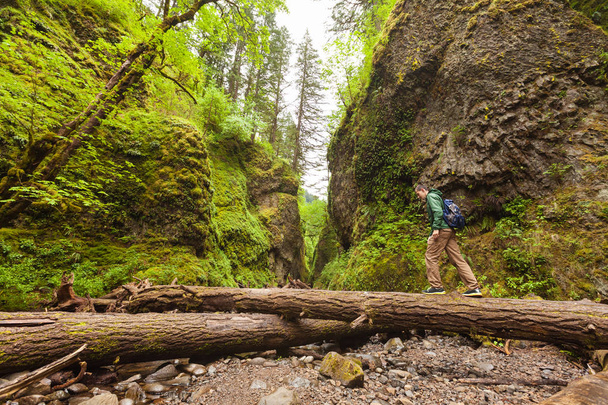 Adventure man hiking with backpack, walking in Oneonta Gorge, outdoor lifestyle - Photo, Image