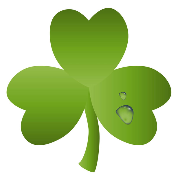 St. Patrick card with green leaf of clover and transparent drops of water on it - Vector, afbeelding
