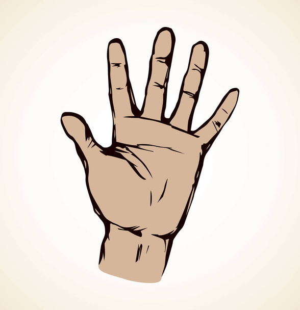 Palm. Vector drawing - Vector, Image
