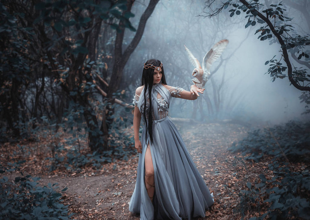 Forest sorceress with a bird - Φωτογραφία, εικόνα