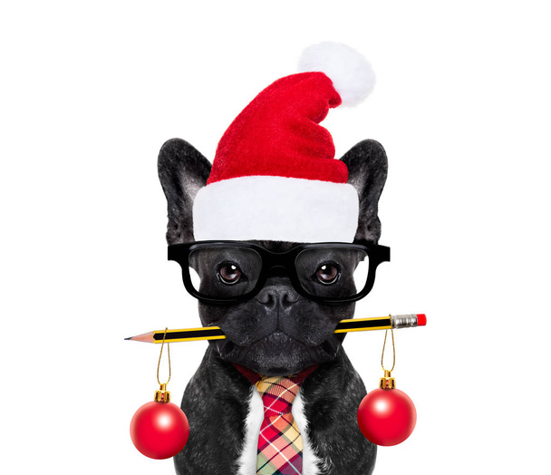 dog office worker on christmas holidays - Fotó, kép