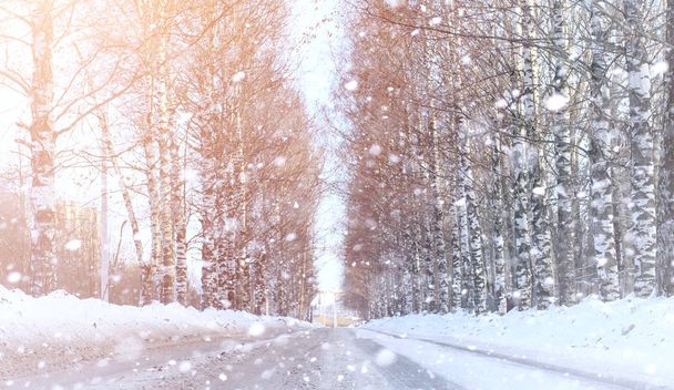 Kış manzara kar expanses kaplı. Kışın bir parkta - Fotoğraf, Görsel