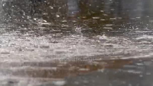 Gotas de lluvia de fuente
 - Imágenes, Vídeo