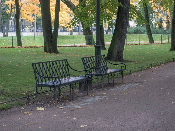 Benches in the autumn city park. It's a nasty day - Zdjęcie, obraz