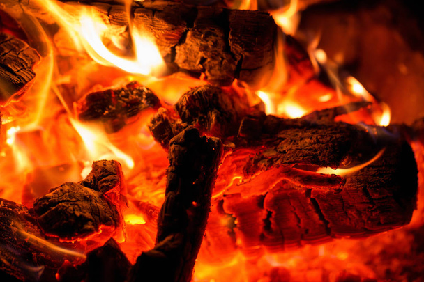 Burning camp fire wood. Close Up view - 写真・画像