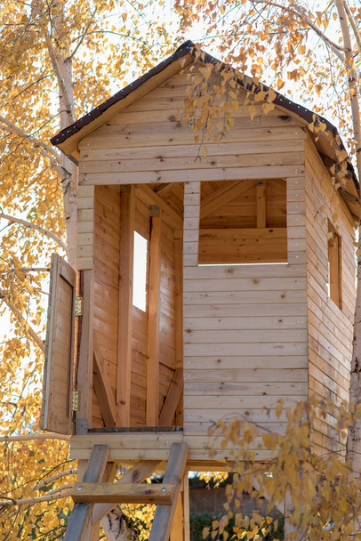 Wooden tree house  - Photo, Image