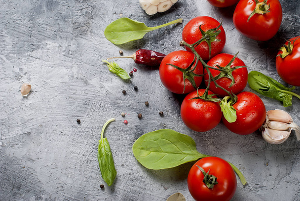 Branch tomatoes and herbs on grey background - Fotó, kép