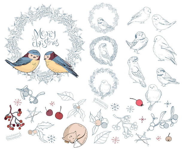 Коллекция различных зимних птиц. Рождественские лесные символы и элементы изолированы на белом. Винтажный стиль, контур, ручная работа
. - Вектор,изображение