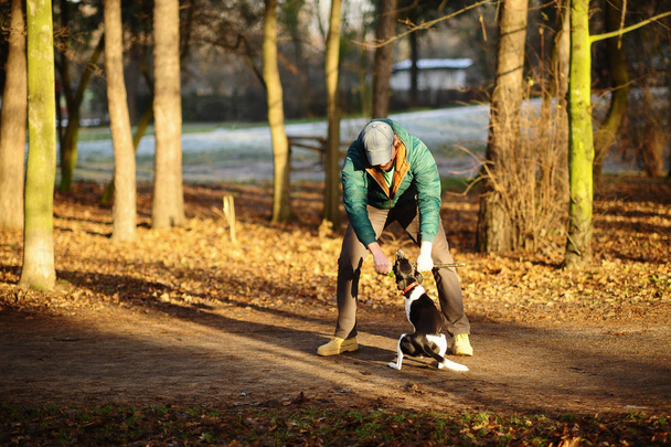 Young man trains the dog in the autumn park. - Foto, afbeelding