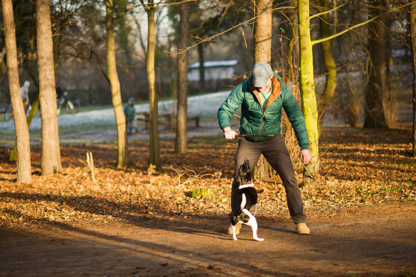 Young man trains the dog in the autumn park. - Zdjęcie, obraz