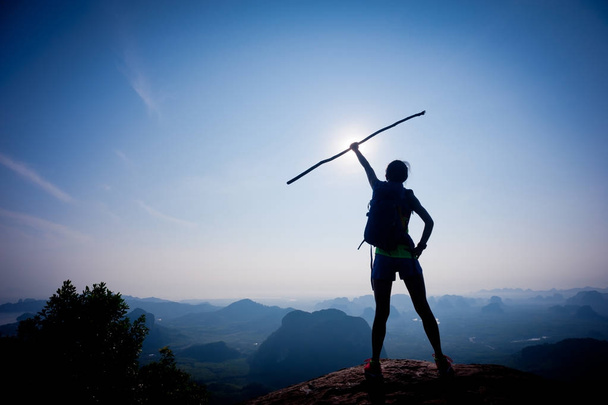 jonge vrouw met hiking stok - Foto, afbeelding