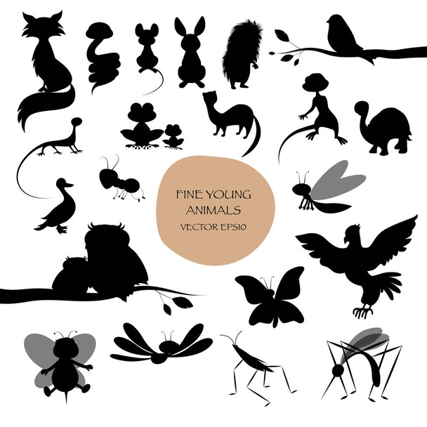 Silhouetten von niedlichen Tieren isoliert auf weißem Hintergrund. Säugetiere, Vögel, Reptilien, Insekten. - Vektor, Bild