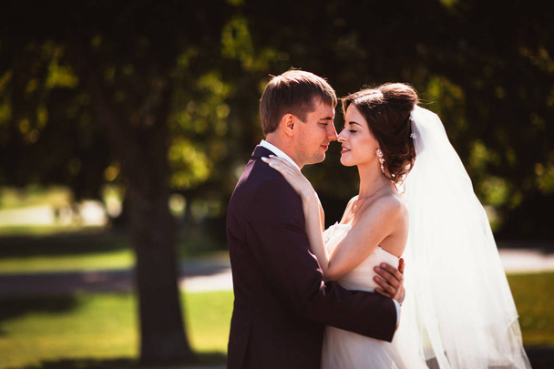 young couple groom and the bride on the park background. - Foto, imagen