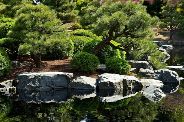 Japanse tuin met vijver - Foto, afbeelding