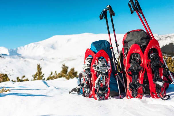 Sırt çantası, kar ayakkabıları ve trekking direkleri. - Fotoğraf, Görsel