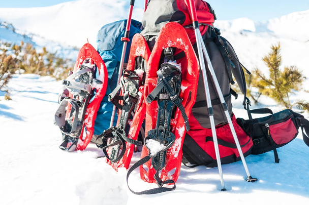 Backpack, snowshoes and trekking poles. - Photo, Image