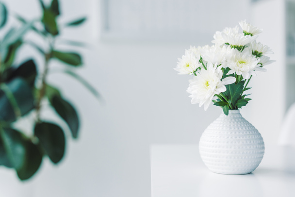 Flores blancas en jarrón
 - Foto, Imagen