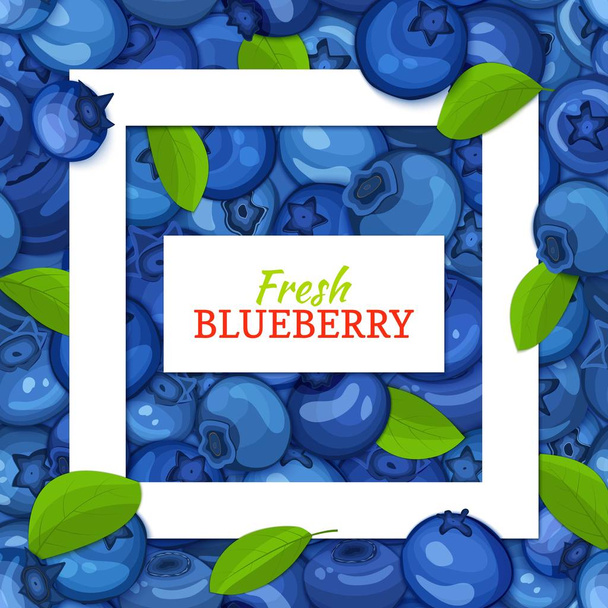 Square white frame and rectangle label on blueberry background. Vector card illustration. Blueberries fruit and leaves for packaging design food juice, jam, ice cream, smoothies, detox, cosmetics, tea - Vektori, kuva