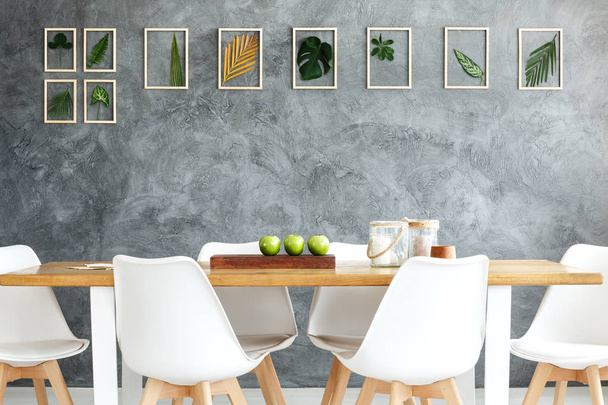 Gallery of framed tropical leaves  - Foto, afbeelding
