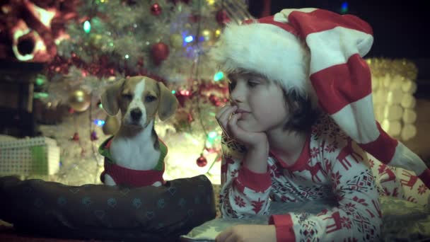 4k Weihnachts- und Neujahrsferien, Kind und Welpe posieren - Filmmaterial, Video